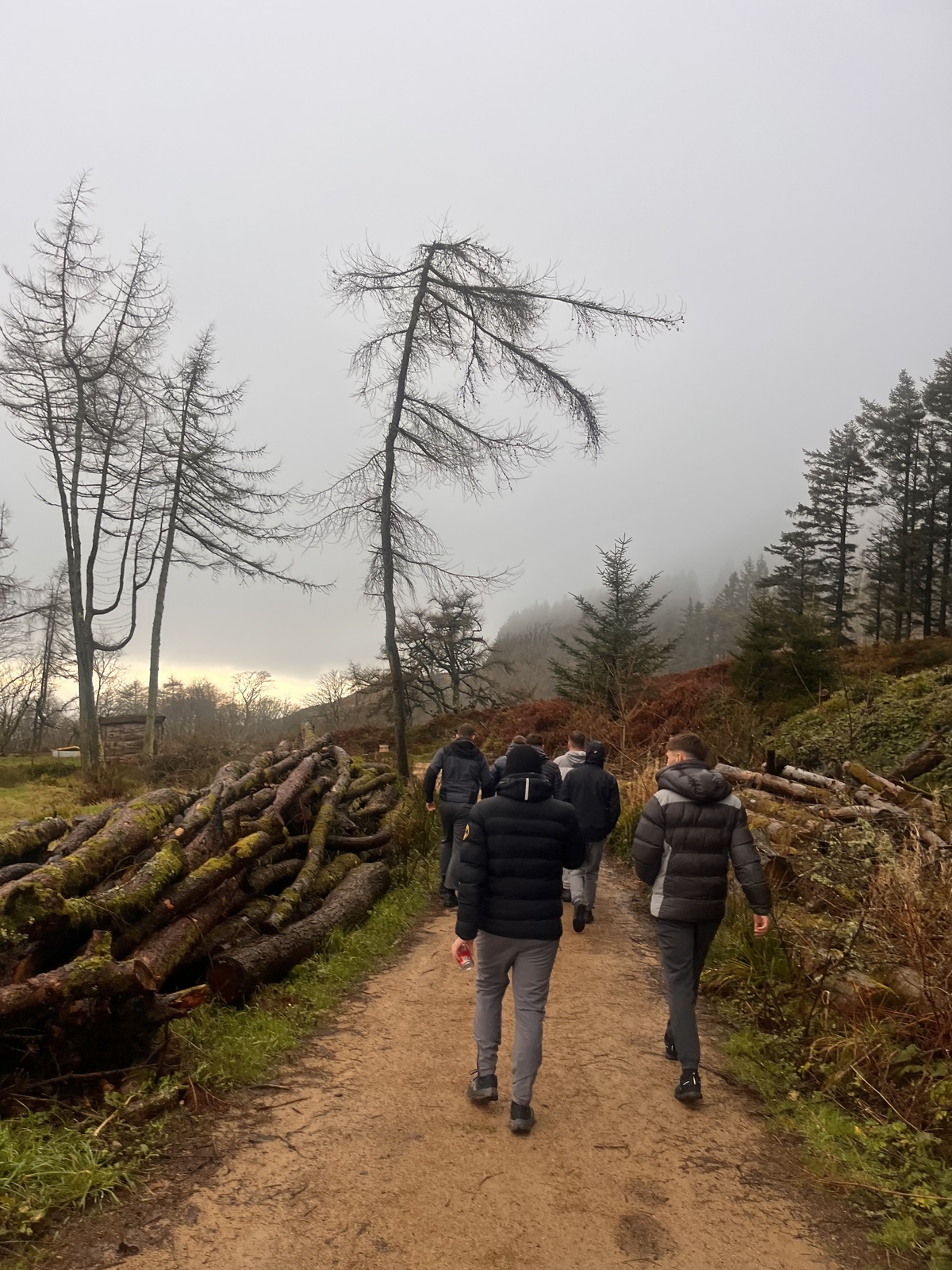 People walking on a dirt path through a misty forest, surrounded by logs and bare trees.