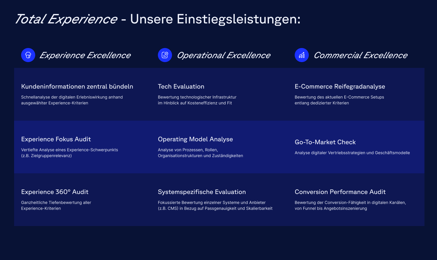 Infographic titled "Total Experience - Unsere Einstiegsleistungen" with sections on Experience, Operational, and Commercial Excellence, listing services.