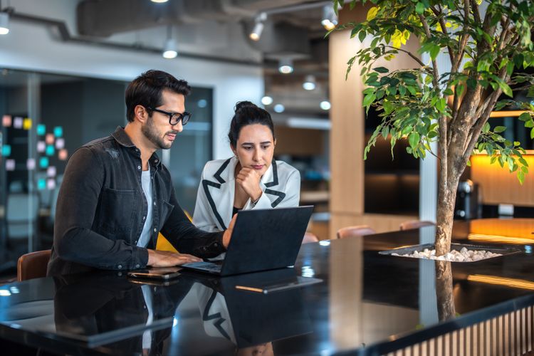 Tech Consultants