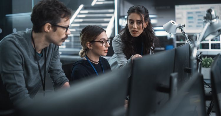 Developer Team