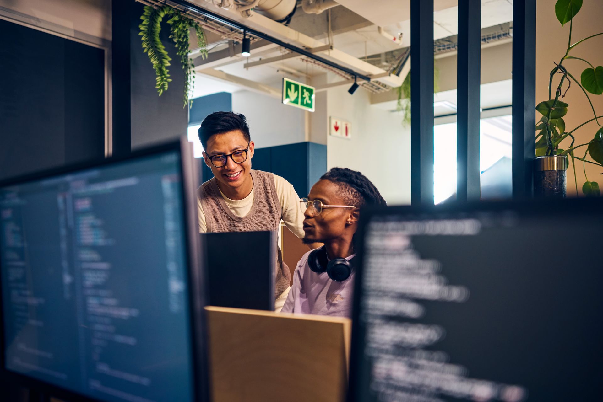 Developer