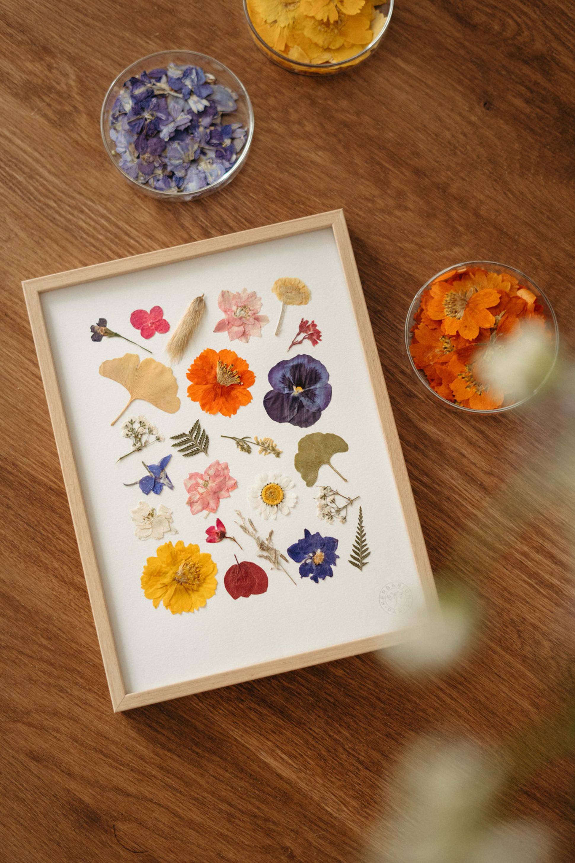 Herbier Herbarium Isae 18x24 cm By Charlot