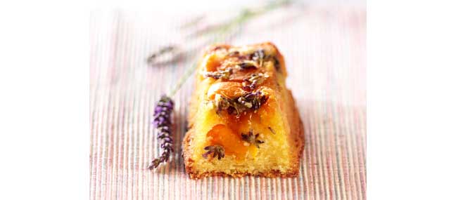 mini-cake-abricot-lavande - Mathon
