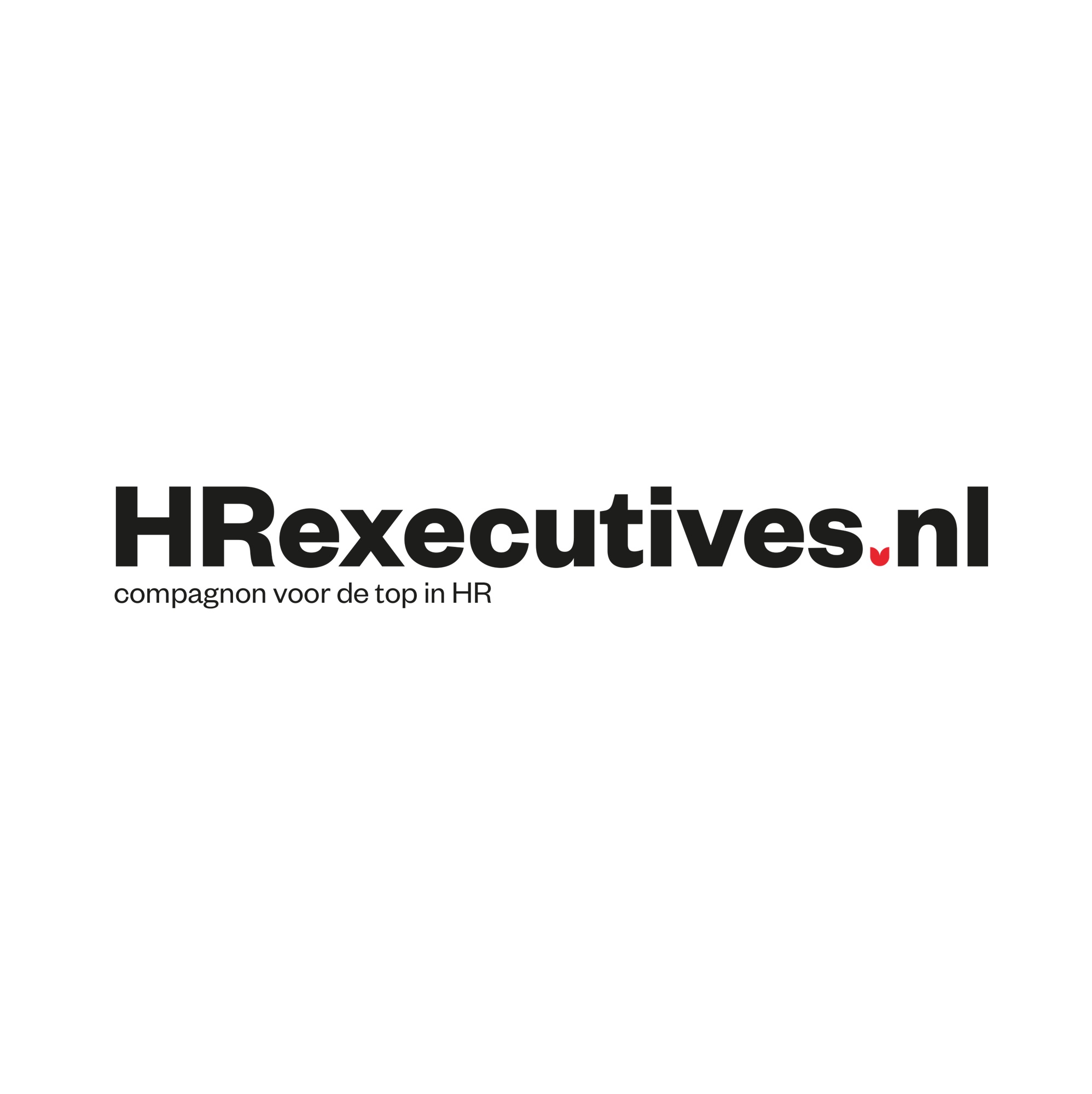 HRexecutives logo contact pagina website