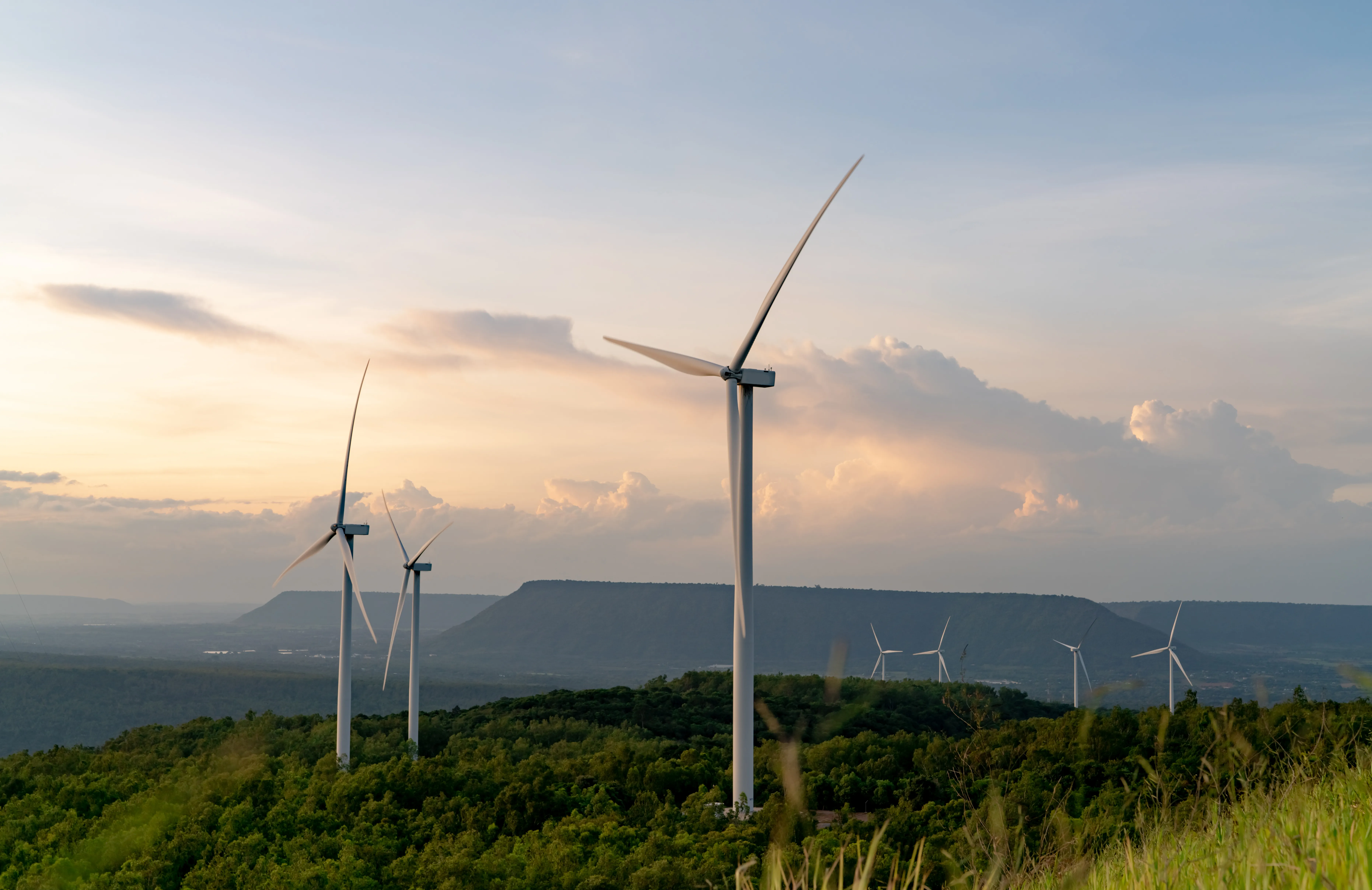 Vindmøller grøn omstilling