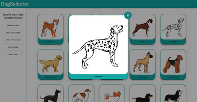 Dog Selector Modal - Dalmatian