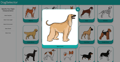 Dog Selector Modal - Afghan Hound