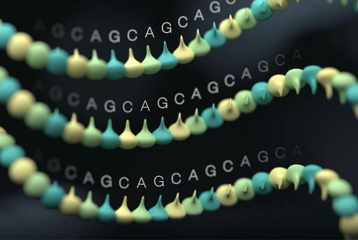 STRspy-ing hidden variation in forensic DNA profiles with the MinION