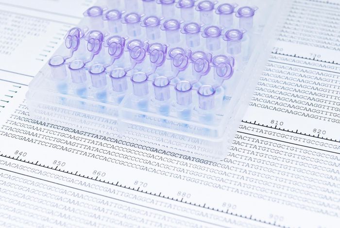 Ultrarapid nanopore genome sequencing in a critical care setting