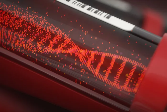Understanding the evolution of large DNA viruses