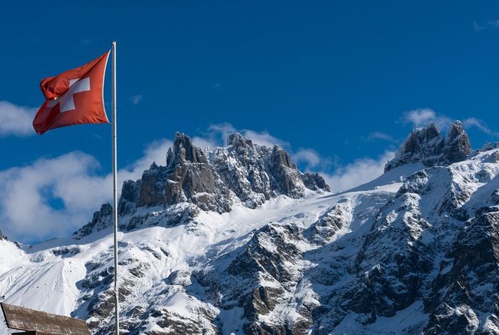 Virtual Nanopore Day, Switzerland