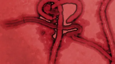 Rapid confirmation of the Zaire Ebola Virus in the outbreak of the Equateur province in the Democratic Republic of Congo: implications for public health interventions