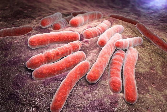 NCM 2023 Houston: Improving bacterial disease public health testing with nanopore sequencing