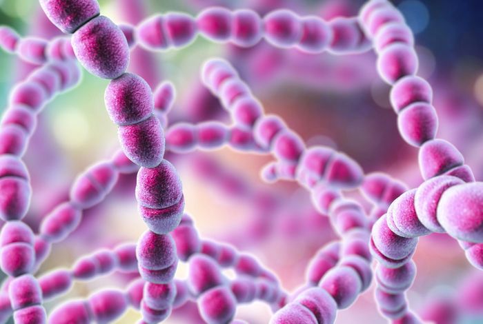 Rapid and accurate species identification of mitis group Streptococci using the MinION Nanopore sequencer