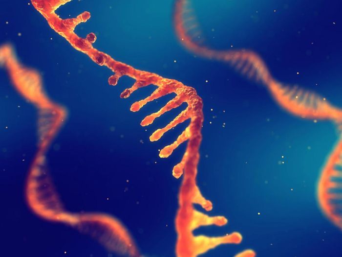 Transcriptome profiling for precision cancer medicine using shallow nanopore cDNA sequencing