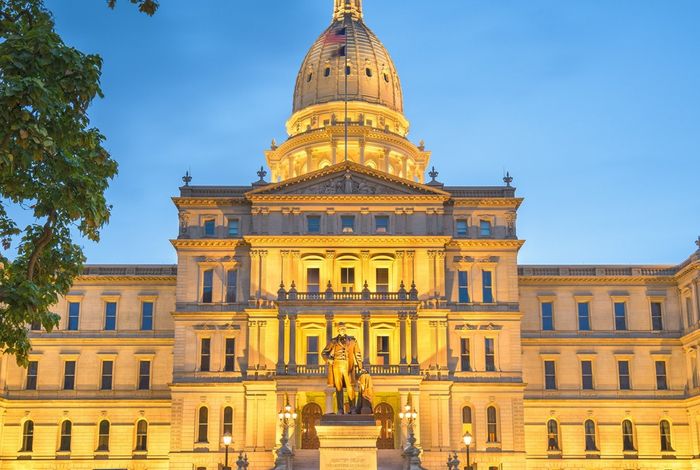 Virtual Nanopore Day, Michigan