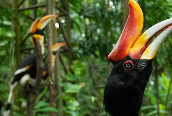 Secuenciación nanopore para estudios de conservación y biodiversidad en Latino América