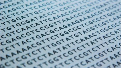 Accessing the inaccessible human genome with long reads