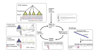 Lineage calling can identify antibiotic resistant clones within minutes