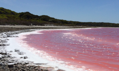 Lake Heller (courtesy of Dr. Ken McGrath, Australian Genome Research Facility, Australia)