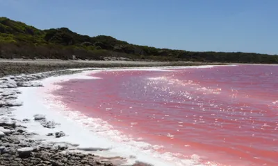 Lake Heller (courtesy of Dr. Ken McGrath, Australian Genome Research Facility, Australia)