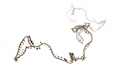 Free-floating RNA strand