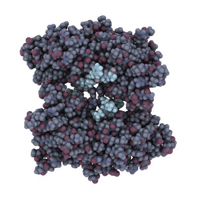 model of brca1 protein