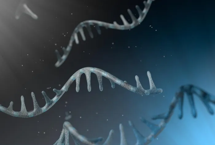 NCM 2022: Direct RNA sequencing reveals multi-intron splicing order and poly(A) tail lengths across subcellular compartments