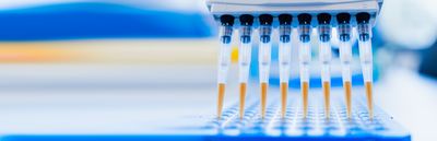 multi-channel_pipette