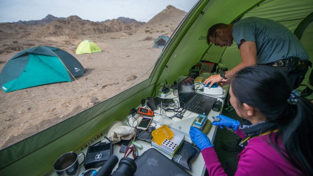 MinION in the Gobi Desert