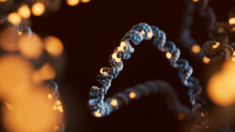 Strand of DNA with bases highlighted in orange