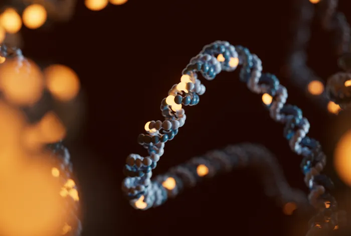 Science unlocked: publication picks from December 2024