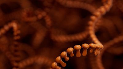 Strands of orange RNA folded over themselves