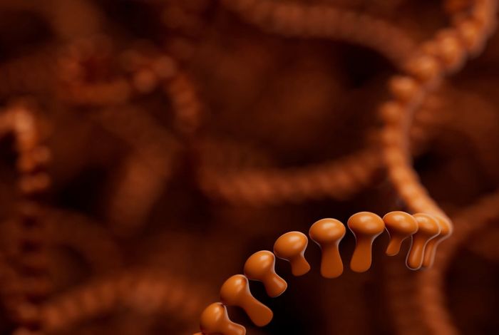 Top topics at ESHG 2024 | Oxford Nanopore Technologies