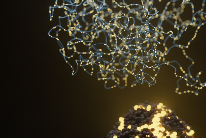 Application and use of long-read sequencing in personalized cancer medicine