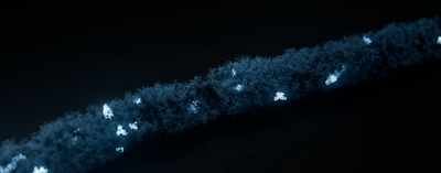 Strand of tightly curled DNA with regions highlighted in white