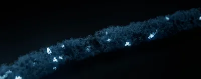 Strand of tightly curled DNA with regions highlighted in white