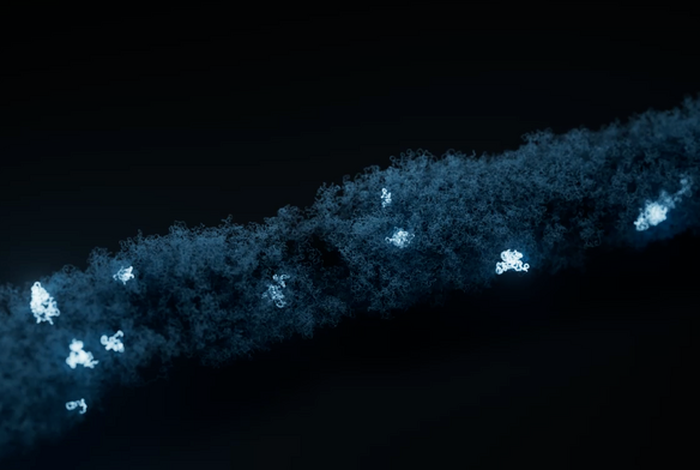 Workflow overview: bacterial isolate sequencing