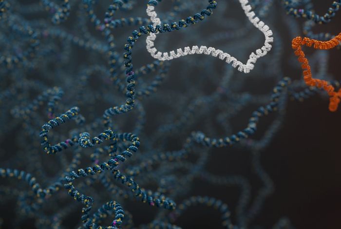 Structural patterns and transcriptional effects of integrated Epstein-Barr virus revealed by long-read sequencing and RNA-sequencing in NPC