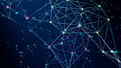 Low Resolution jpg-WYMM Human 5