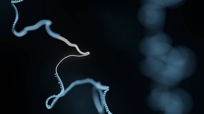 Unified metagenomic method for rapid detection of microorganisms in clinical samples