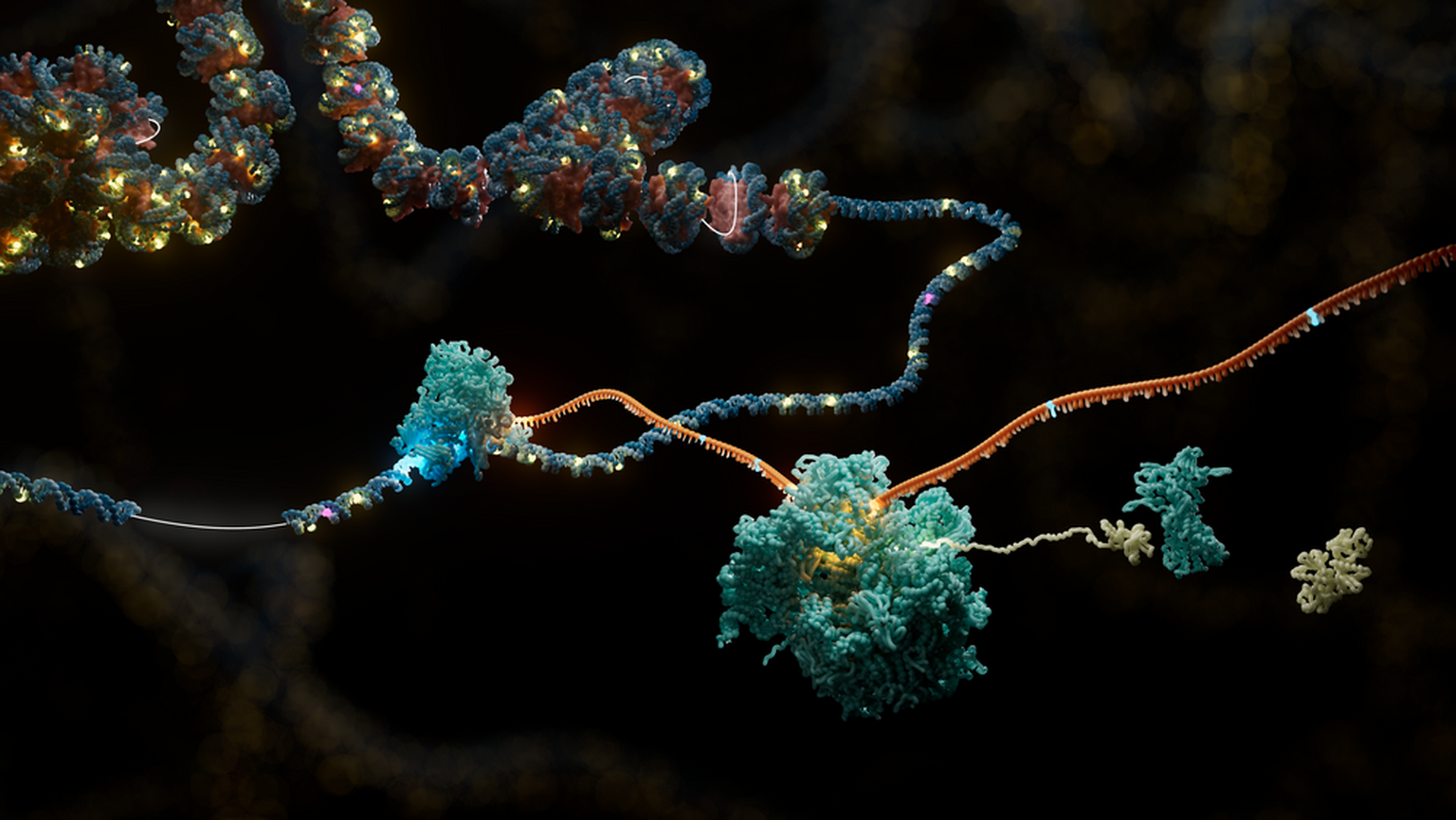 Multiomic data identifies skewed X-inactivation and its role in masking Mendelian inheritance patterns