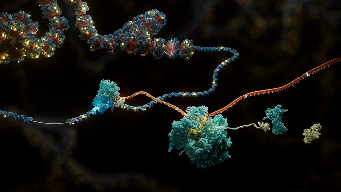 Multiomic data identifies skewed X-inactivation and its role in masking Mendelian inheritance patterns