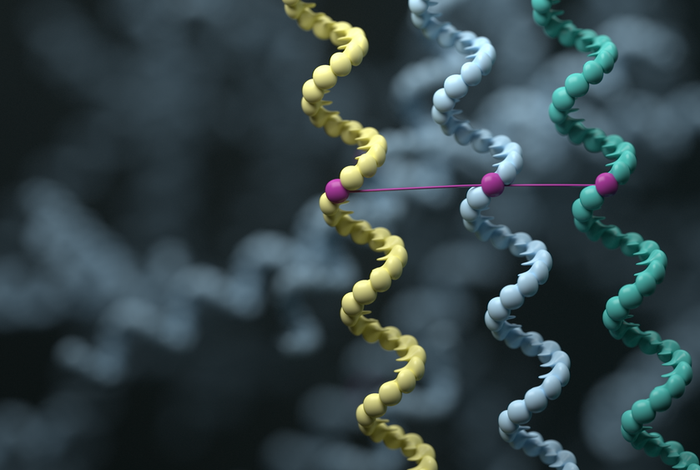 Enriching for answers in rare diseases