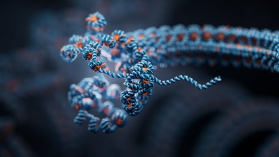 Blue and white strand of DNA twisted together in a helix, further curled up and held in a tight structure by orange chromatins