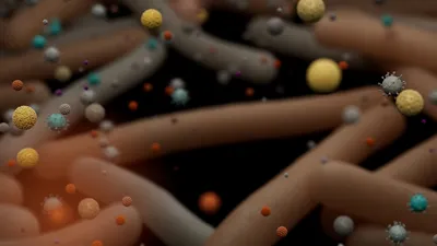 Mix of different cells representing a range of microbiota