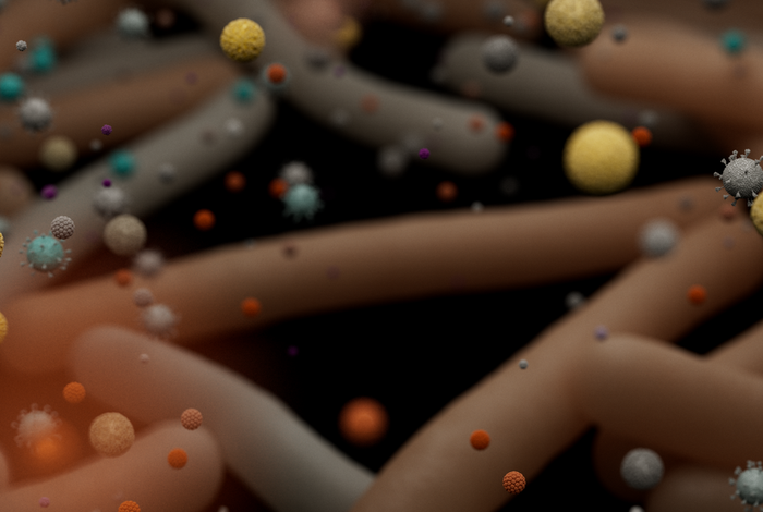 Improving bacterial metagenomic research through long-read sequencing