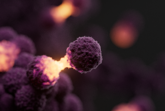 Multiomic single-cell cancer analysis — from mutation detection to understanding disease mechanisms