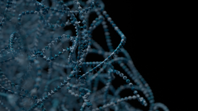 Chromatin conformation image