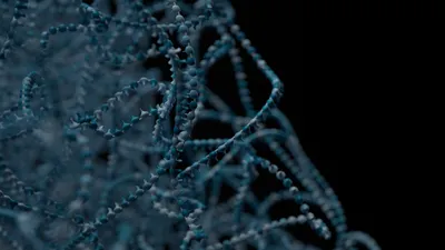 Chromatin conformation image
